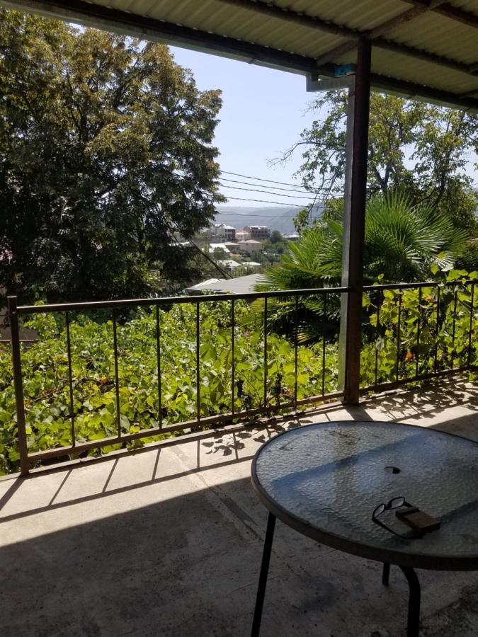 Уиут Ниниа Сад Apartment Tbilisi Exterior photo